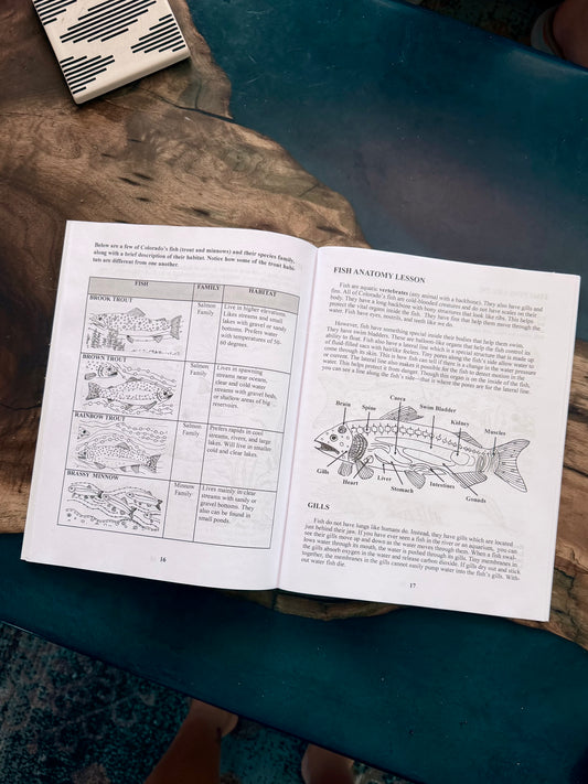 Wild and Wonderful! A Child's Guide to the Arkansas River and the Creatures that Live There