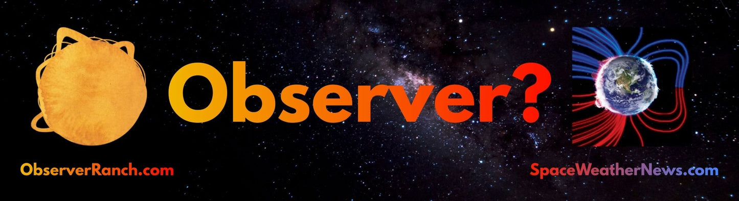 Observer Bumper Sticker